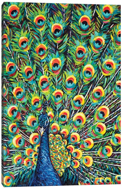 Lavish Peacock I Canvas Art Print - Peacock Art