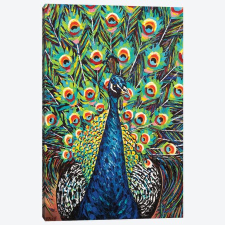 Lavish Peacock II Canvas Print #VIT117} by Carolee Vitaletti Canvas Art Print