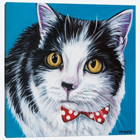 Classy Cat I Canvas Print #VIT122} by Carolee Vitaletti Canvas Art Print