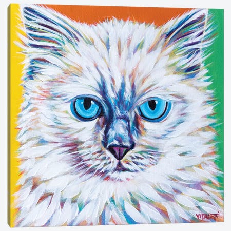 Classy Cat II Canvas Print #VIT123} by Carolee Vitaletti Art Print