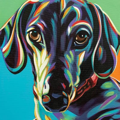 Painted Dachshund I by Carolee Vitaletti metal wall art