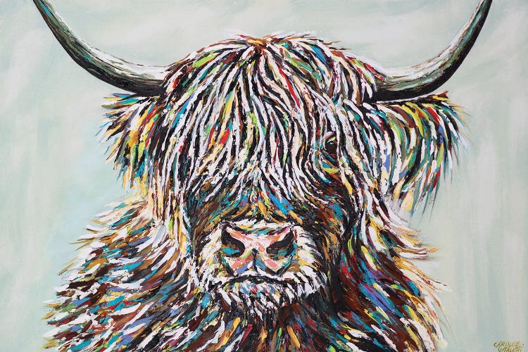 Woolly Highland II