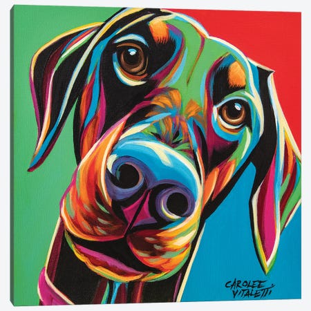 Chroma Dogs I Canvas Print #VIT132} by Carolee Vitaletti Canvas Artwork