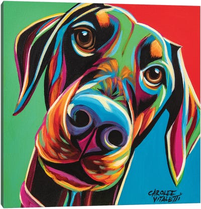 Chroma Dogs I Canvas Art Print - Carolee Vitaletti