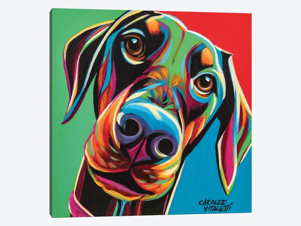 Chroma Dogs I by Carolee Vitaletti 1-piece Canvas Print
