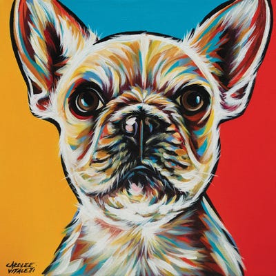 Chroma Dogs II by Carolee Vitaletti acrylic art print