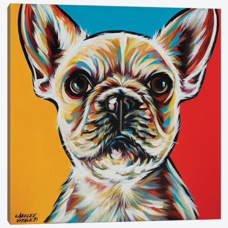 Chroma Dogs II Canvas Print #VIT133} by Carolee Vitaletti Canvas Art
