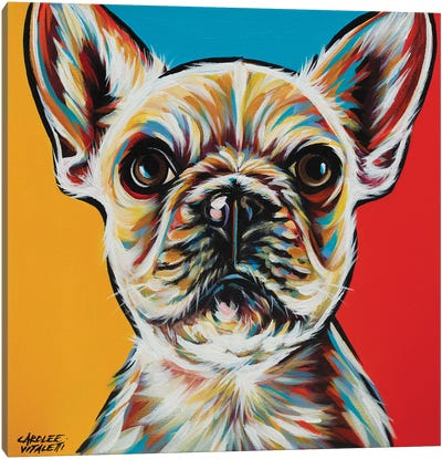 Chroma Dogs II Canvas Art Print - Carolee Vitaletti