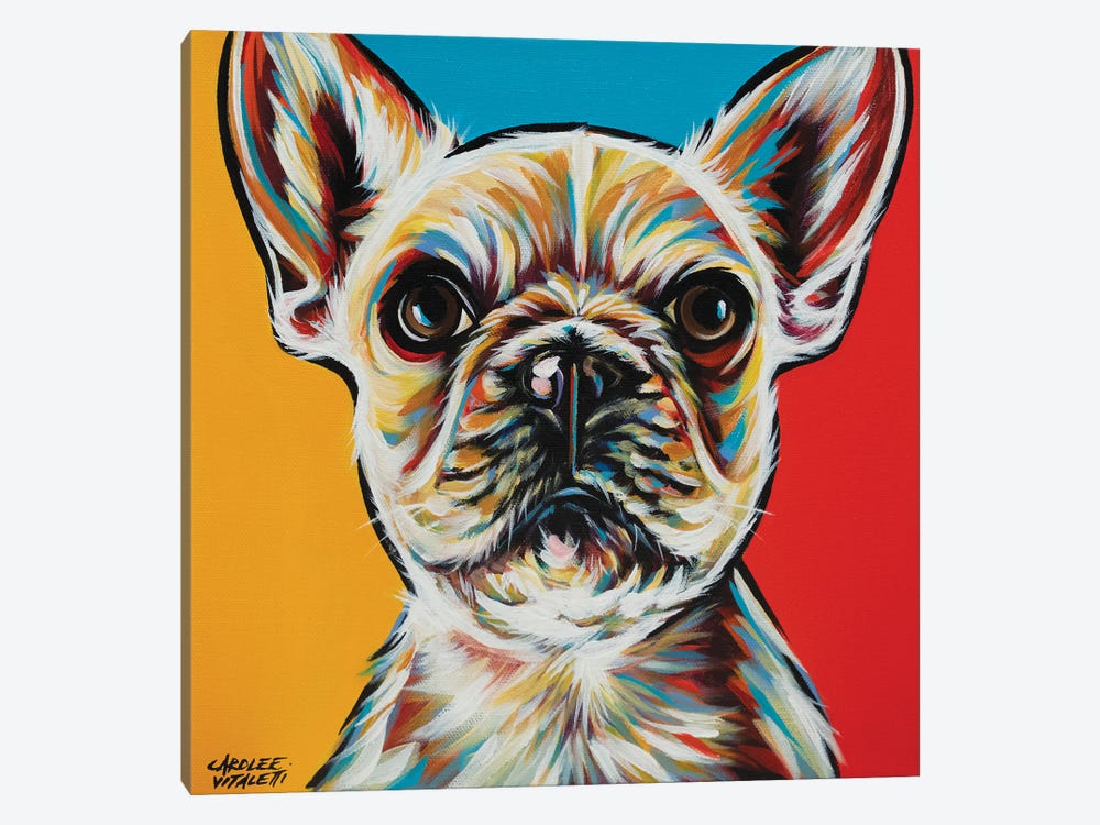 Chroma Dogs II by Carolee Vitaletti 1-piece Canvas Artwork