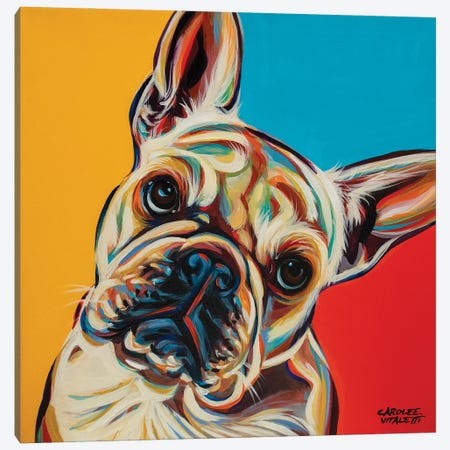 Chroma Dogs III Canvas Print #VIT134} by Carolee Vitaletti Canvas Print