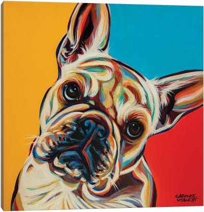 Chroma Dogs III Canvas Art Print - French Bulldog Art