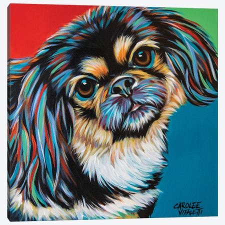 Chroma Dogs IV Canvas Print #VIT135} by Carolee Vitaletti Canvas Art Print