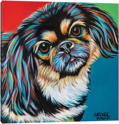 Chroma Dogs IV Canvas Art Print - Carolee Vitaletti