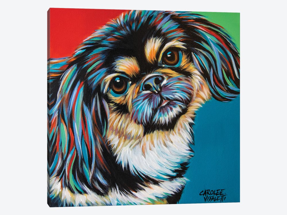 Chroma Dogs IV by Carolee Vitaletti 1-piece Canvas Art