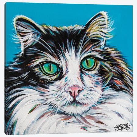 High Society Cat II Canvas Print #VIT140} by Carolee Vitaletti Art Print