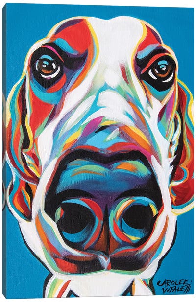 Nosey Dog I Canvas Art Print - Basset Hounds