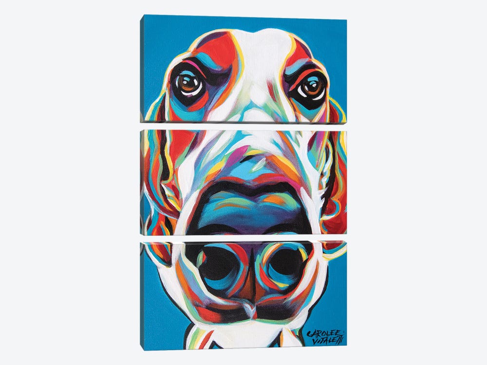 Nosey Dog I by Carolee Vitaletti 3-piece Canvas Art Print