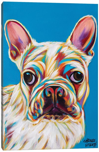 Nosey Dog III Canvas Art Print - French Bulldog Art