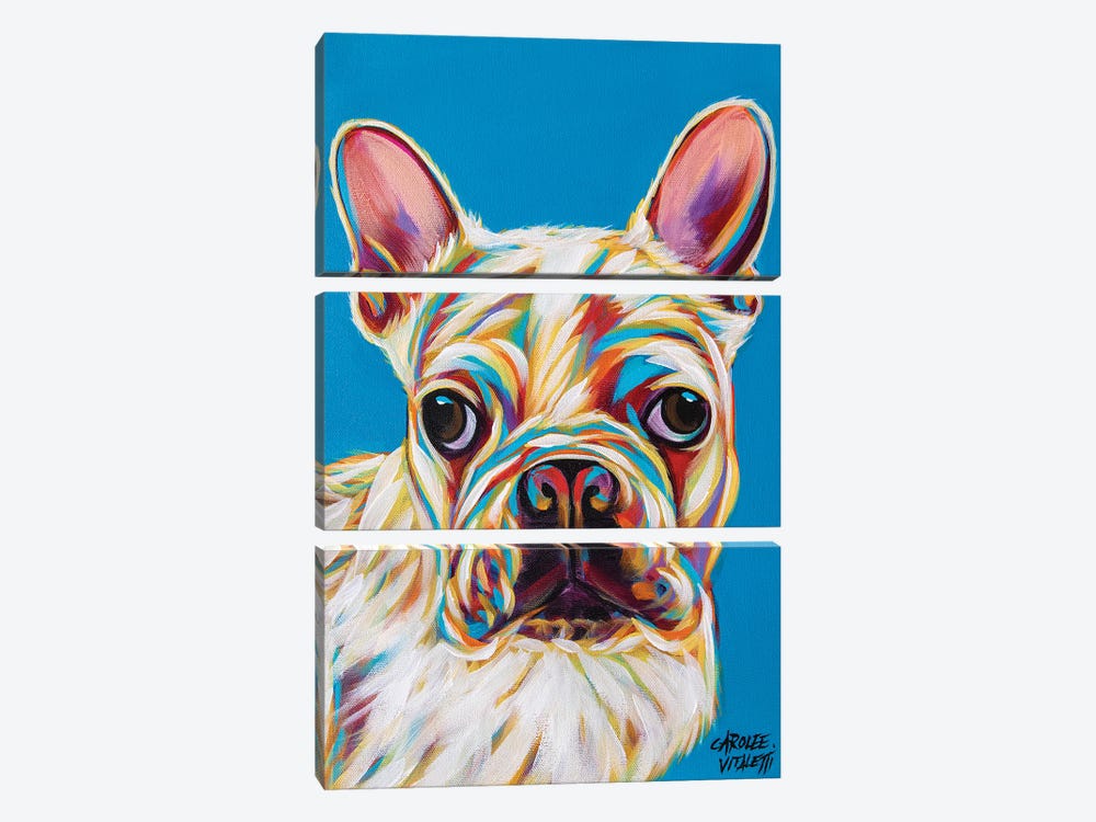 Nosey Dog III by Carolee Vitaletti 3-piece Art Print