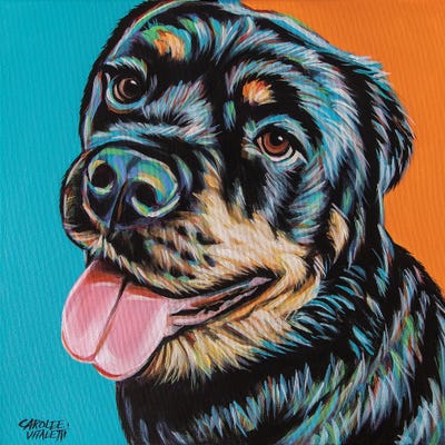 Rottweiler I by Carolee Vitaletti framed wall art