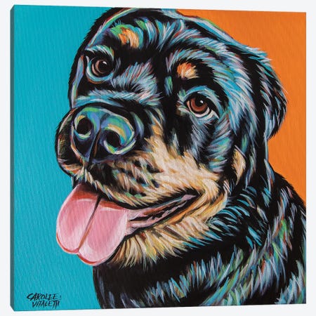 Rottweiler I Canvas Print #VIT144} by Carolee Vitaletti Canvas Wall Art