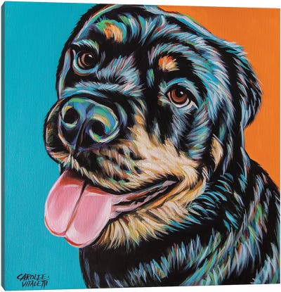 Rottweiler I Canvas Art Print
