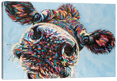 Funny Cow II Canvas Art Print - Cow Art