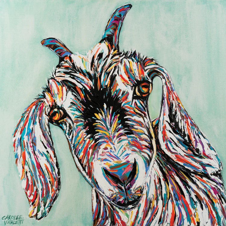 Funny Goat II