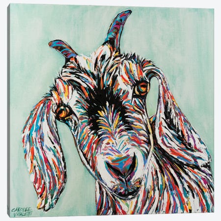 Funny Goat II Canvas Print #VIT148} by Carolee Vitaletti Art Print