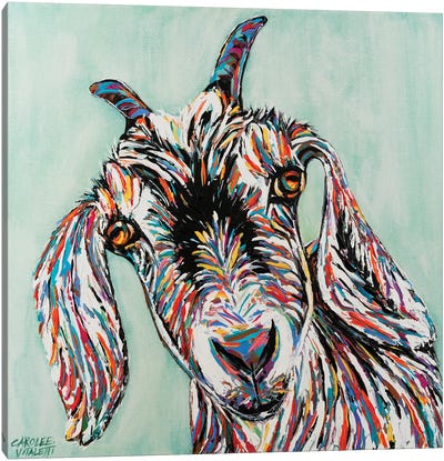 Funny Goat II Canvas Art Print - Carolee Vitaletti