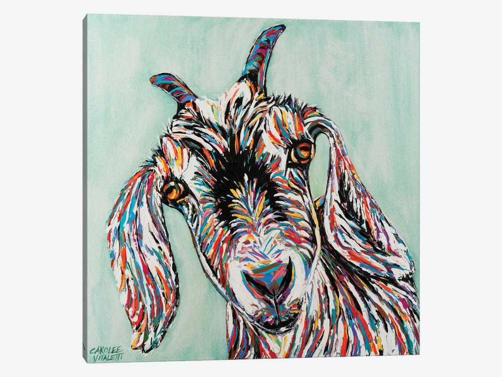Funny Goat II by Carolee Vitaletti 1-piece Canvas Wall Art