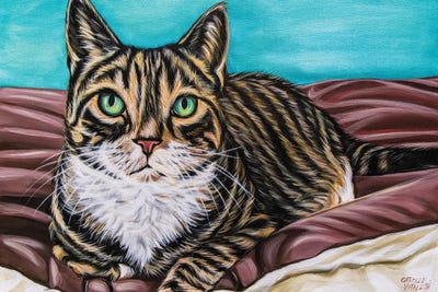 Kaleidoscope Comfy Cat by Carolee Vitaletti art print
