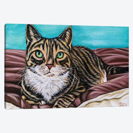 Kaleidoscope Comfy Cat Canvas Print #VIT149} by Carolee Vitaletti Art Print