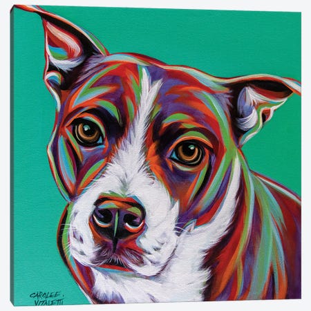 Kaleidoscope Dog I Canvas Print #VIT150} by Carolee Vitaletti Canvas Art