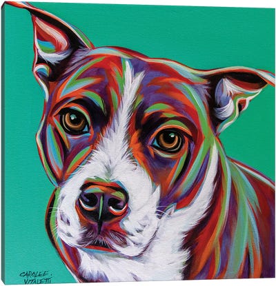 Kaleidoscope Dog I Canvas Art Print - Carolee Vitaletti