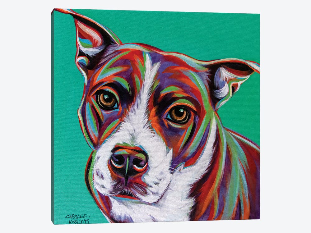 Kaleidoscope Dog I by Carolee Vitaletti 1-piece Canvas Art Print