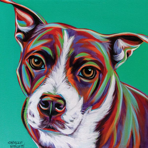 Other Breeds: Kaleidoscope Dog I by Carolee Vitaletti
