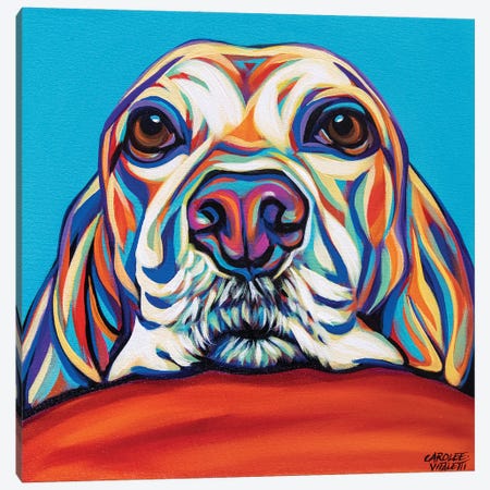 Kaleidoscope Dog II Canvas Print #VIT151} by Carolee Vitaletti Canvas Wall Art