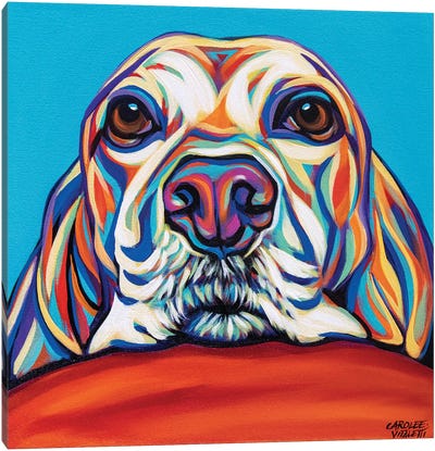 Kaleidoscope Dog II Canvas Art Print - Carolee Vitaletti