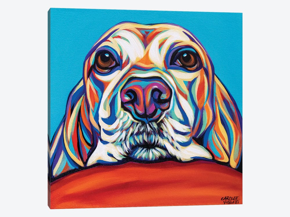 Kaleidoscope Dog II by Carolee Vitaletti 1-piece Canvas Wall Art