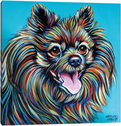 Kaleidoscope Dog III Canvas Art Print - Pomeranian Art