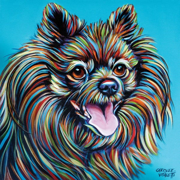 Pomeranians: Kaleidoscope Dog III by Carolee Vitaletti
