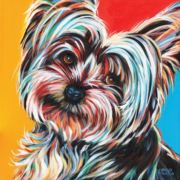 Terriers: Sweet Yorkie II by Carolee Vitaletti
