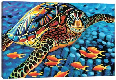 Cruising Along I Canvas Art Print - Turtles