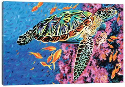 Cruising Along II Canvas Art Print - Turtle Art