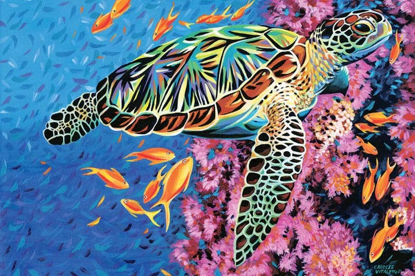 Reptiles & Amphibians: Cruising Along II by Carolee Vitaletti