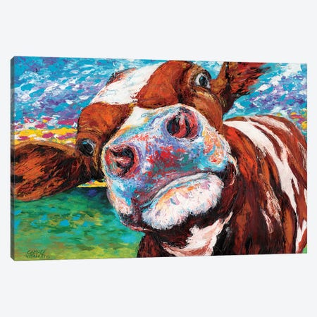 Curious Cow I Canvas Print #VIT1} by Carolee Vitaletti Canvas Artwork