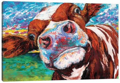 Curious Cow I Canvas Art Print - Best Selling Animal Art