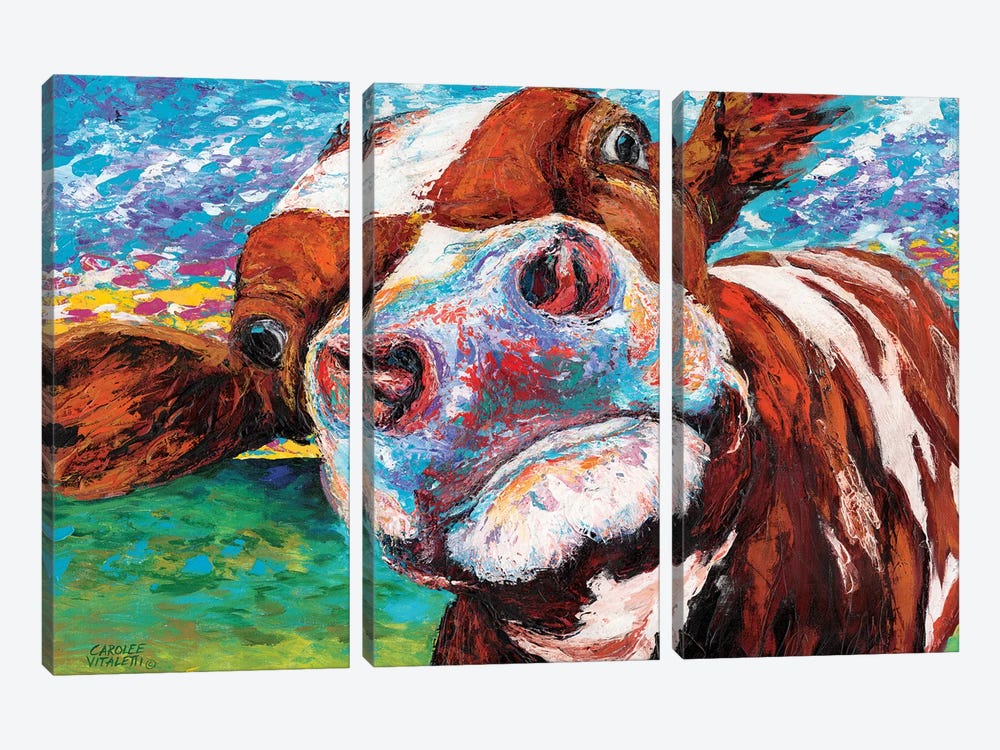 Curious Cow I by Carolee Vitaletti 3-piece Canvas Wall Art