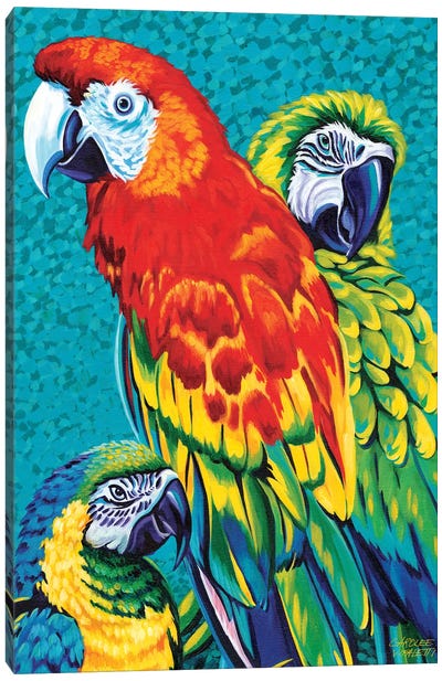 Birds In Paradise III Canvas Art Print - Parrot Art